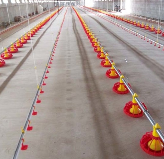 Automatic Poultry Feeder Feeding System Pan Feeding System